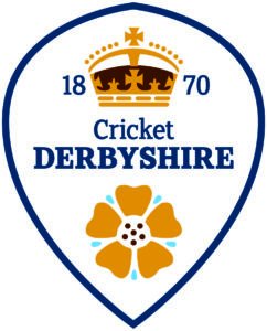 Derbyshire Falcons logo