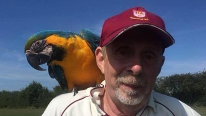 Parrot stops play in club match