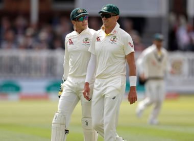 Paine, Siddle played through injuries in fifth Ashes Test