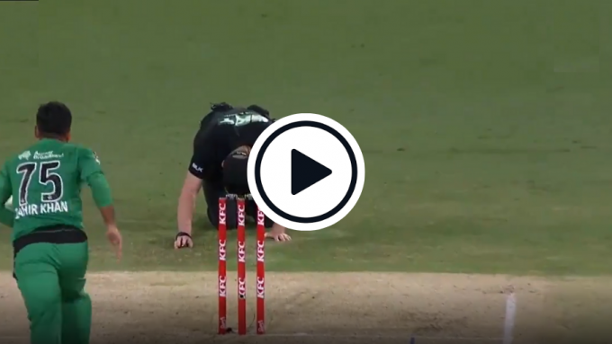 Watch: BBL umpire smashed in groin by ‘ferocious’ straight drive