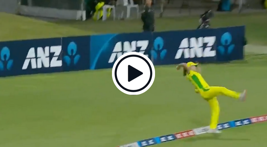 ellyse perry boundary save