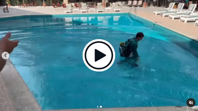 Watch: Pat Cummins films Alex Carey accidentally walking straight into hotel swimming pool