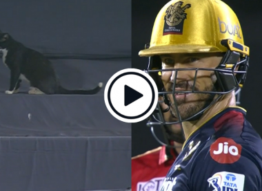 Watch: Faf du Plessis grins as cat above sightscreen stops play in IPL