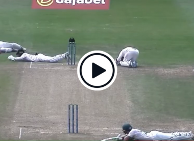 Watch: Bees stop play! Leicestershire and Sussex forced to duck for cover in County Championship clash