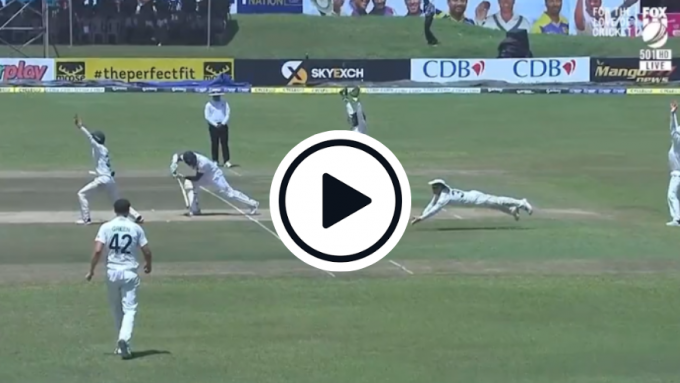 Watch: David Warner takes astonishing slip catch as everyone else appeals for lbw