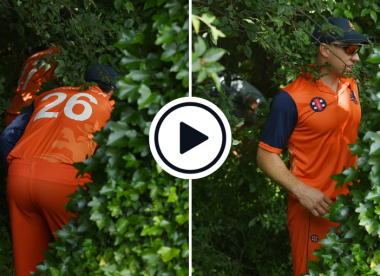 Watch: The Netherlands' players search for cricket ball in the trees after Dawid Malan six