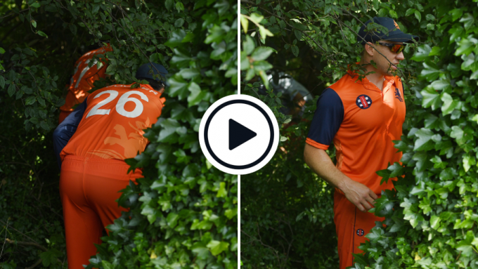Watch: The Netherlands' players search for cricket ball in the trees after Dawid Malan six