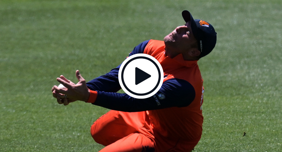Watch: Roelof Van Der Merwe Takes Catch Of The T20 World Cup Contender To Set Up Massive Dutch Upset Over South Africa