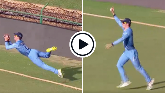 Watch: Minutes after smashing record-breaking 162, Dewald Brevis takes wonder catch on boundary