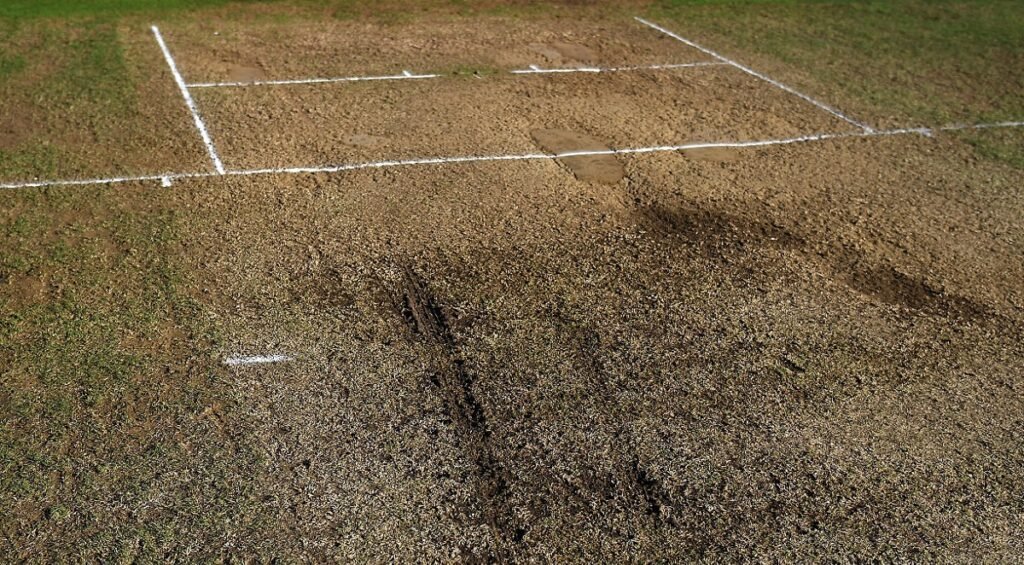 cricket pitch stock photo