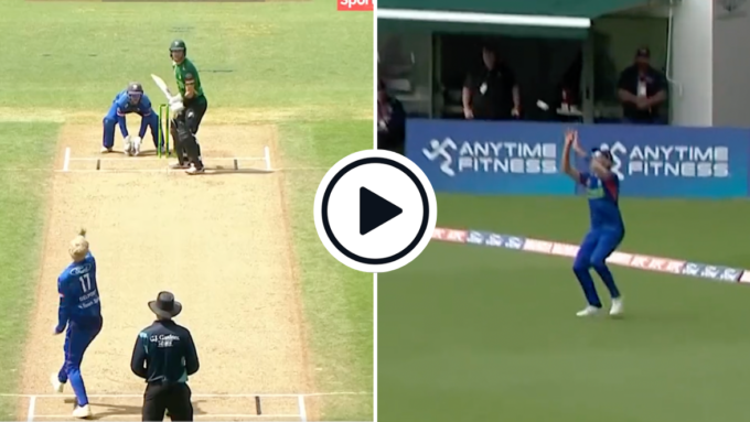 Watch: New Zealand batter hits five sixes in an over in Super Smash T20, gets caught on rope going for sixth