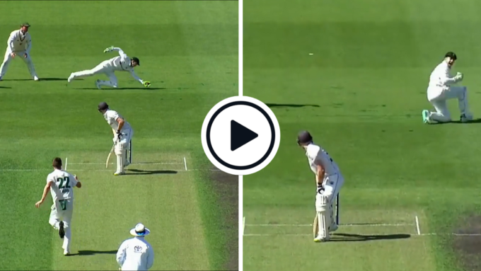 Watch: 'Amazing reflexes' - Tim Paine takes wrong-footed, diving blinder off thick inside-edge in Sheffield Shield