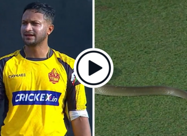 Watch: Snake stops play! Match official bravely shepherds invading reptile from field in Lanka Premier League
