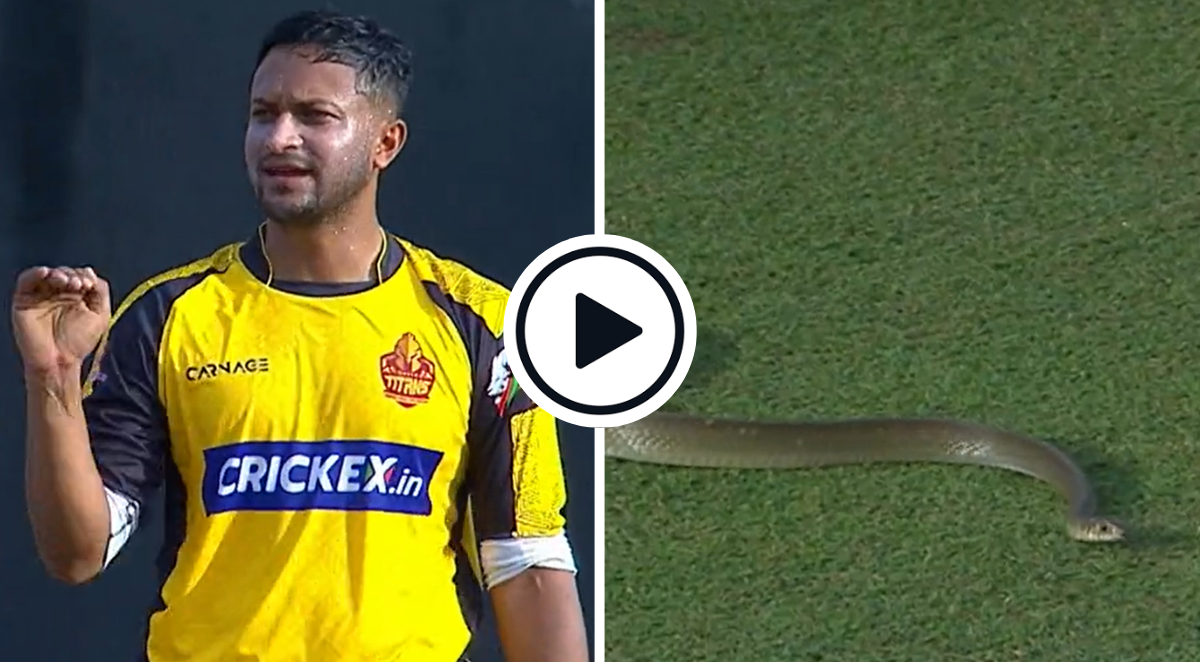Watch Snake Stops Play! Match Official Bravely Shepherds Invading Reptile From Field In Lanka Premier League
