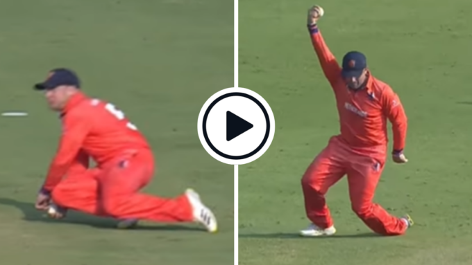 Watch: Minutes after pressing catch to turf, Roelof van der Merwe correctly takes low catch