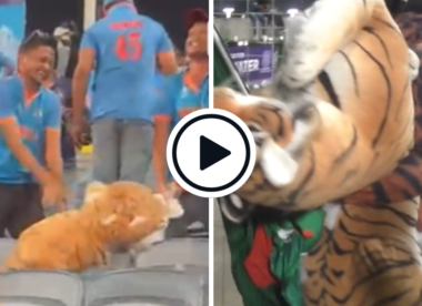 Watch: Local fans tear apart Bangladesh supporter's tiger plush toy during IND-BAN game