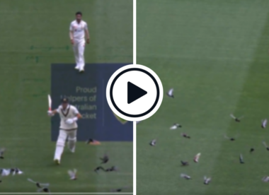 Watch: Marnus Labuschagne and Hasan Ali chase away pigeons on day one of Boxing Day Test