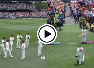 Watch: David Warner receives guard of honour, standing ovation in final Test innings