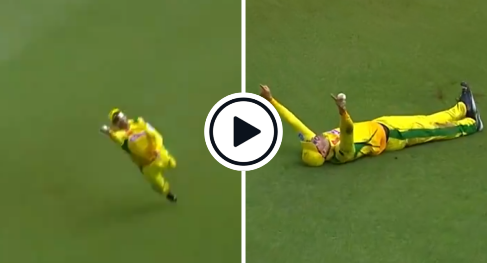 Faf du Plessis catches Dewald Brevis in SA20