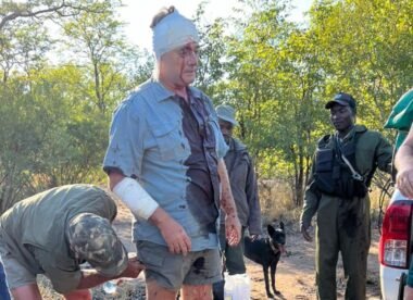 A decade after surviving an eight-foot crocodile, Zimbabwe cricketer Guy Whittall survives leopard attack