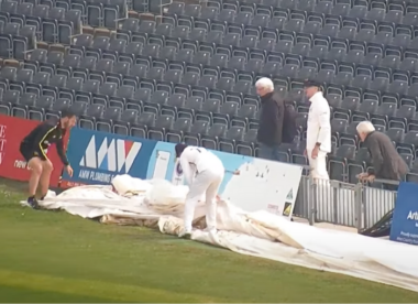 County match delayed for five minutes after ball is lost under the covers